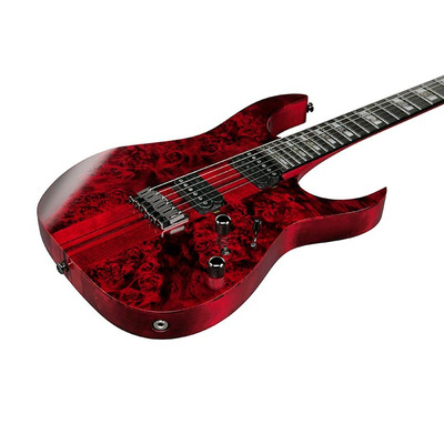 Электрогитара IBANEZ RGT1221PB SWL Изображение