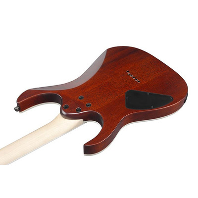 Электрогитара IBANEZ RG421S SEM Изображение
