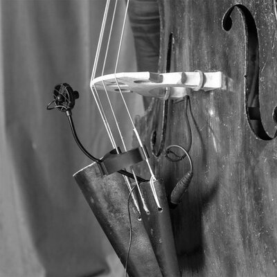 Мікрофон інструментальний, для смичкових Prodipe BL21 (для контрабасу) Зображення