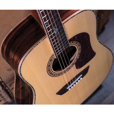 Акустична гітара Washburn HD80 S Зображення