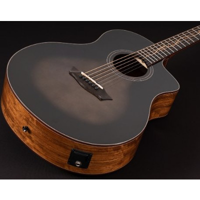 Електроакустична гітара Washburn VITE S9V Зображення