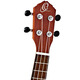 Укулеле Ortega RUPA5MM Pineapple Изображение