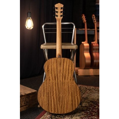 Акустическая гитара Washburn NOVO S9 Изображение