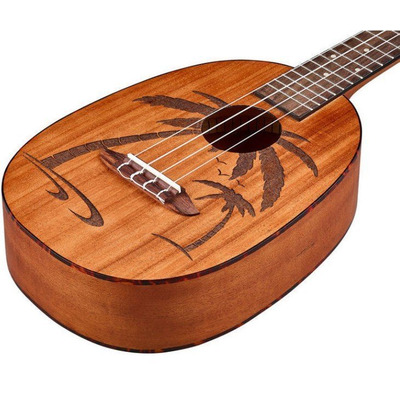 Укулеле Ortega RUPA5MM Pineapple Изображение