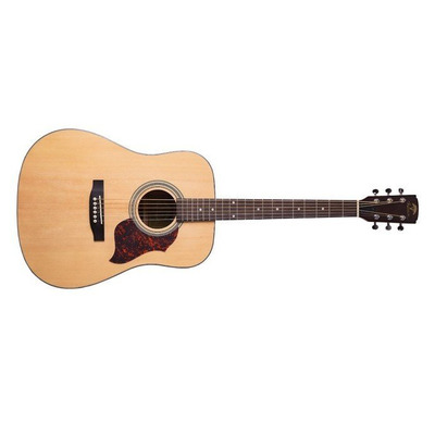 Акустична гітара Virginia V-D22 Зображення