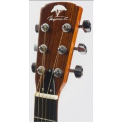 Акустична гітара Virginia V-D22 Зображення