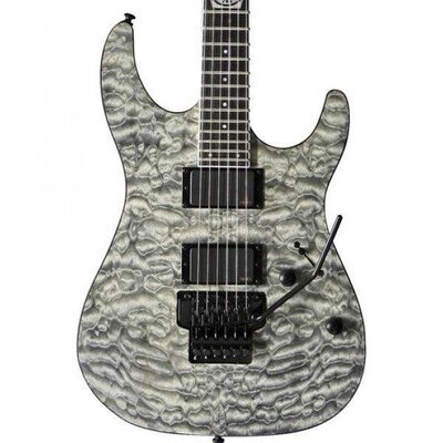 Электрогитара VGS Screech Pro (VG507305) Изображение