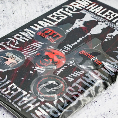 Подарунковий набір значків HALESTORM - PORTRAIT (iol-002) Зображення