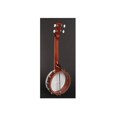 Банджо RICHWOOD RMBU-404 Зображення