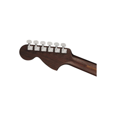 Електрогітара FENDER AMERICAN PROFESSIONAL STRAT LTD ROASTED ASH ROSEWOOD NECK Зображення