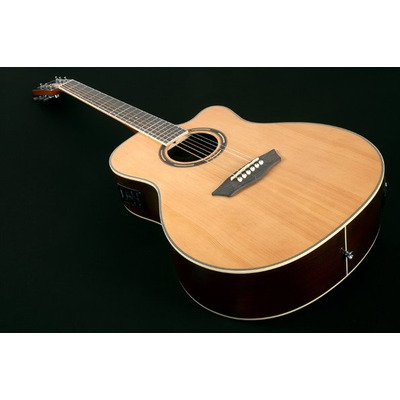 Електроакустична гітара Washburn AG70CE Зображення