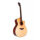Акустическая гитара Alfabeto SOLID AMS40 NT Изображение