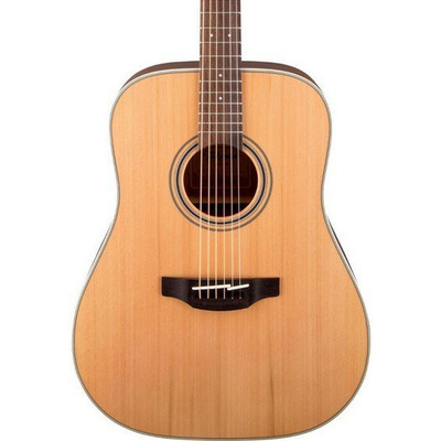 Акустична гітара Takamine GD20 NS Зображення