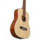 Акустична гітара Alvarez RT26 3/4 Зображення