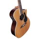 Акустическая гитара Alvarez AG75WCE Изображение