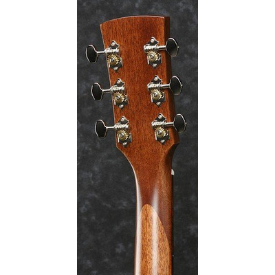 Акустична гітара Ibanez AVD9 NT Зображення