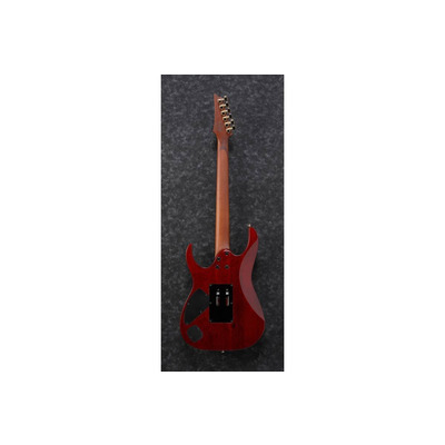 Электрогитара IBANEZ RG420HPFM ALG Изображение