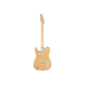Електрогітара Fender Jimmy Page Telecaster Rw Nat (146230721) Зображення