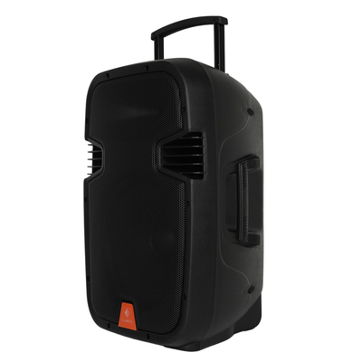 Активная акустическая система Clarity MAX12MBAW-U Изображение