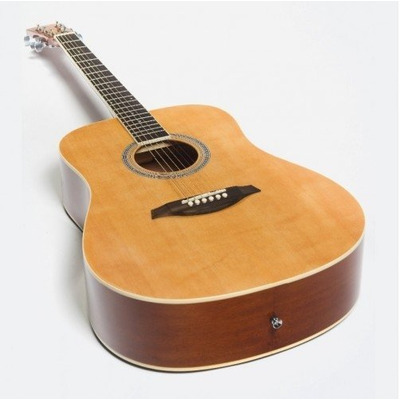 Акустична гітара Virginia V-D40 Зображення