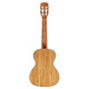 Укулеле Alvarez MU55TE Зображення