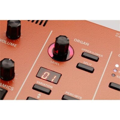 Цифрове піаніно VOX Continental-61 Зображення