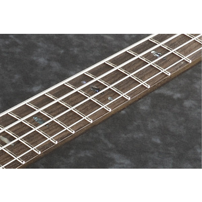 Бас-гітара Ibanez SR2600-CBB Зображення