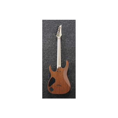 Електрогітара Ibanez RGR5221-TFR Зображення