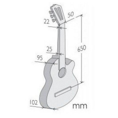 Класична гітара Alhambra ZNatureCWEZ Зображення