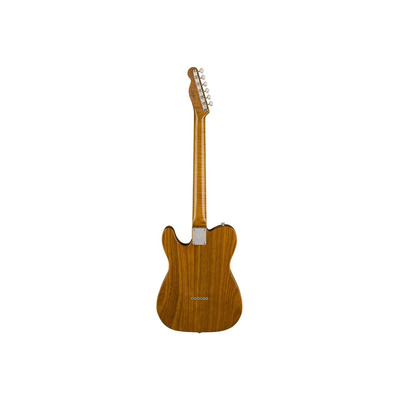 Электрогитара Fender Custom Shop 2018 Artisan Ziricote Tele (9235000595) Изображение