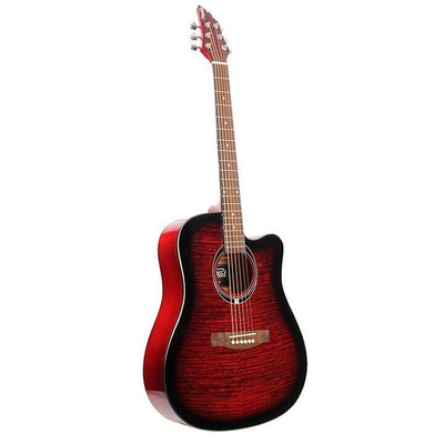 Акустическая гитара Flycat C100 TRD Изображение