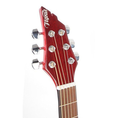 Акустическая гитара Flycat C100 TRD Изображение