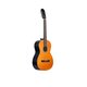 Классическая гитара Gewa Cataluna Basic NT PS510150742 Изображение
