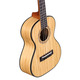 Укулеле Alvarez MU55T Изображение