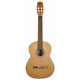Класична гітара Salvador Cortez CC-20 Зображення