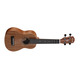 Укулеле Alvarez RU22S Изображение