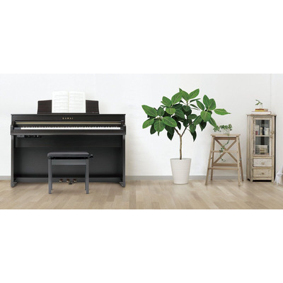 Цифровое пианино Kawai CA58RW Изображение