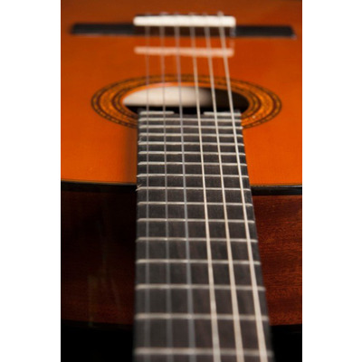 Класична гітара Washburn C5 Зображення