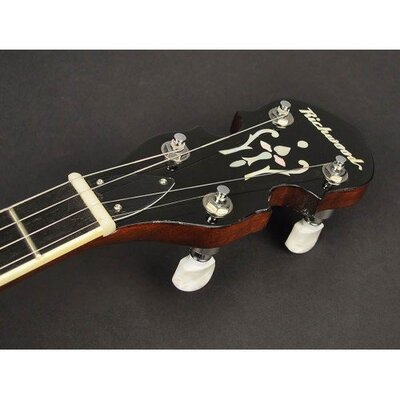 Банджо RICHWOOD RMB-604-SS Зображення