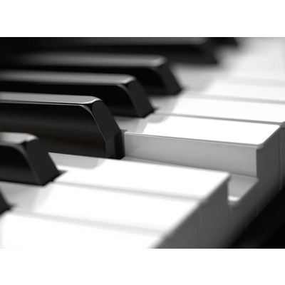 Синтезатор Roland Juno-DS88 Изображение