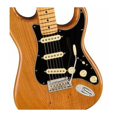 Електрогітара FENDER AMERICAN PRO II STRATOCASTER MN ROASTED PINE Зображення