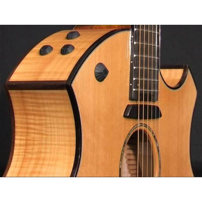 Электроакустическая гитара Parker P8 EN-BK Изображение