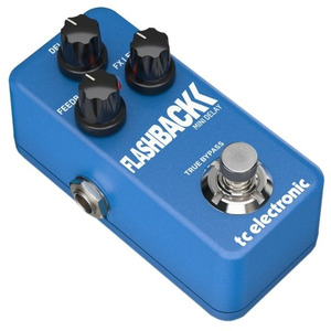 Педаль эффектов TC Electronic Flashback Mini Delay Изображение