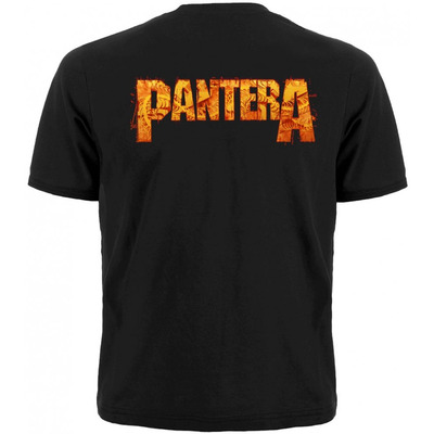 Футболка Pantera (гітара у полум'ї) Зображення