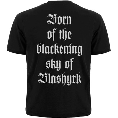 Футболка Immortal "Pure Holocaust" Зображення