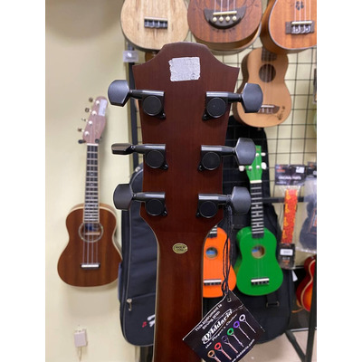 Электроакустическая гитара Hohner G2675S EP1-SD Изображение