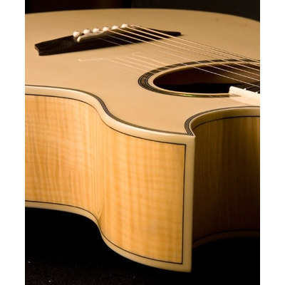 Електроакустична гітара Washburn EA20 TS Зображення