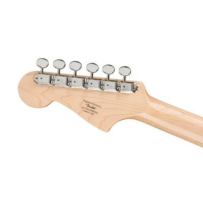 Электрогитара SQUIER by FENDER PARANORMAL TORONADO LRL MYSTIC SEAFOAM Изображение