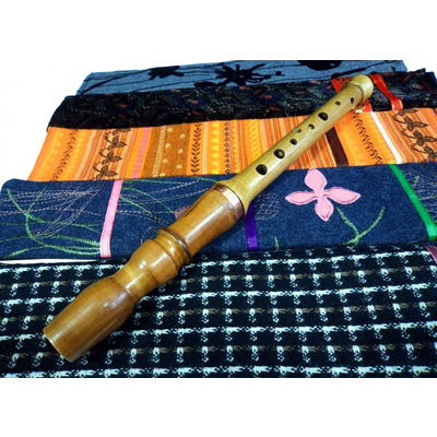 Чехол для сопилки/блок-флейты ЧС-2 Изображение