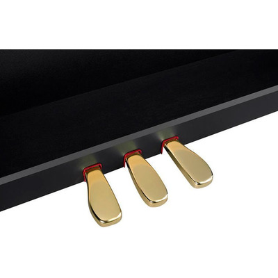 Цифровое пианино Casio AP-710 BKC Изображение